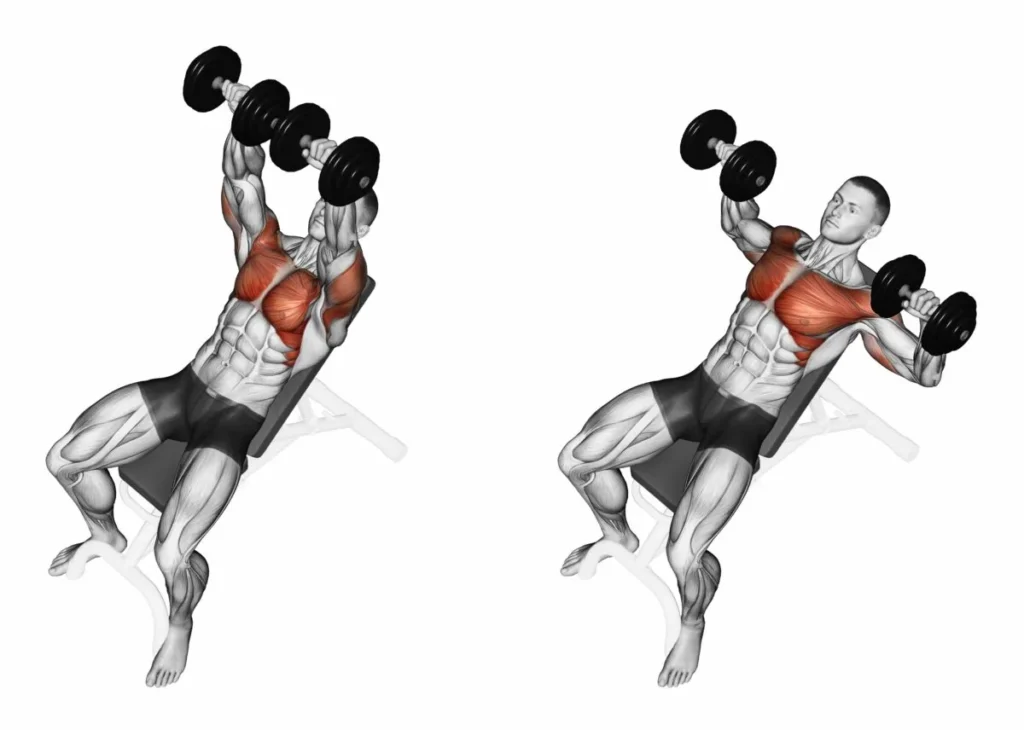 Dumbbell-Incline-Bench-Press-1200x856