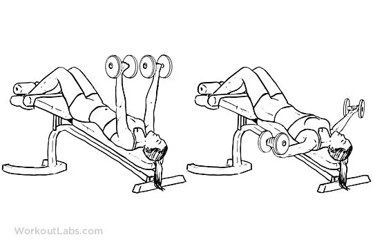 c94ce7bfe4ba24fc569585f06bd0935c decline dumbbell flyes