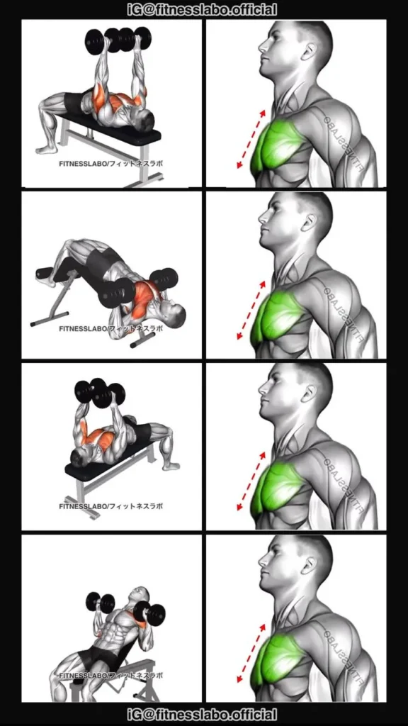 chest-workout-routine