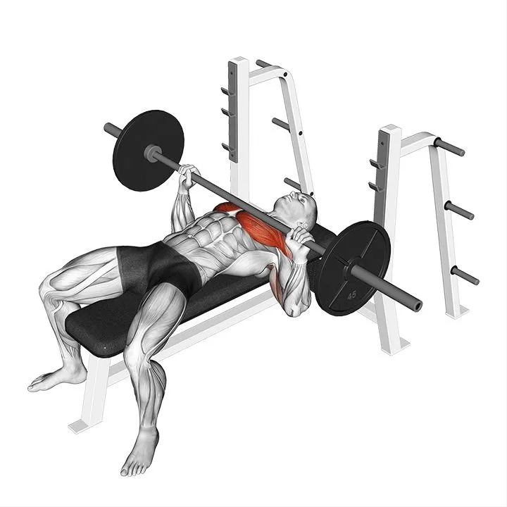 flat-bench-press flat-bench-press