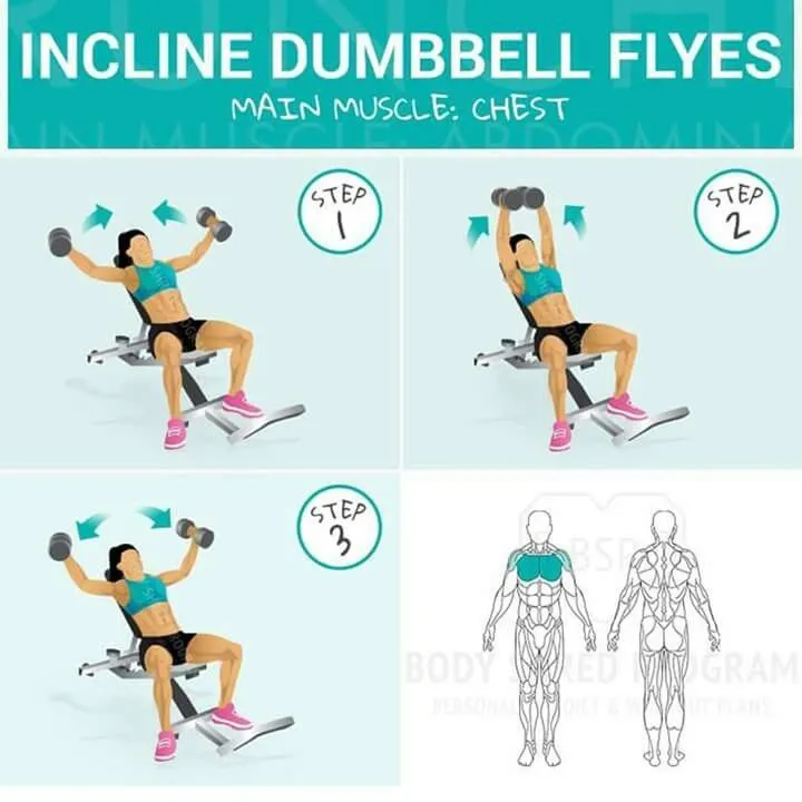 incline-dumbbell-flyes