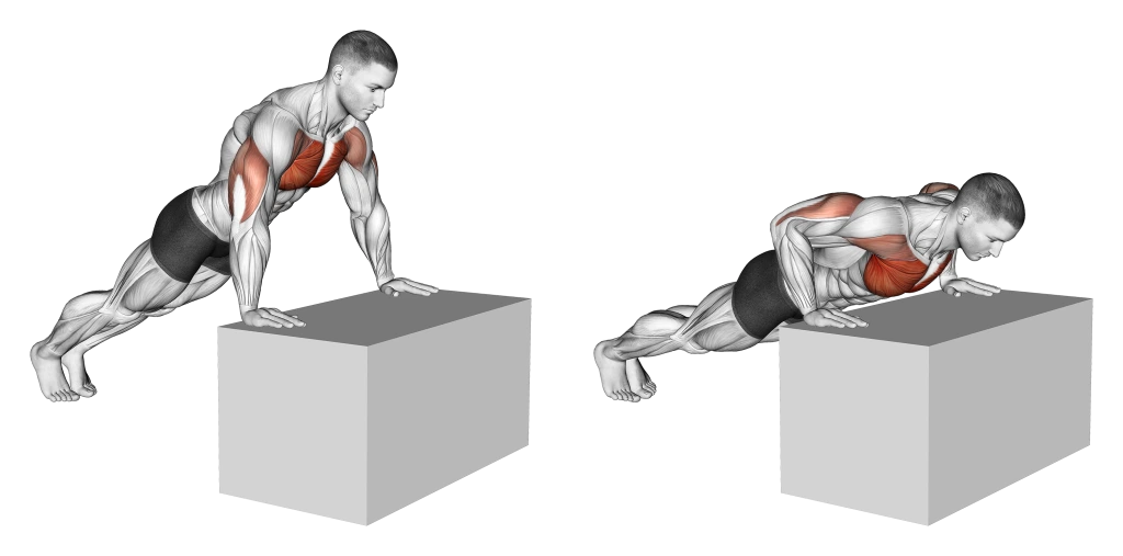 incline-push-up-muscles-1024x507