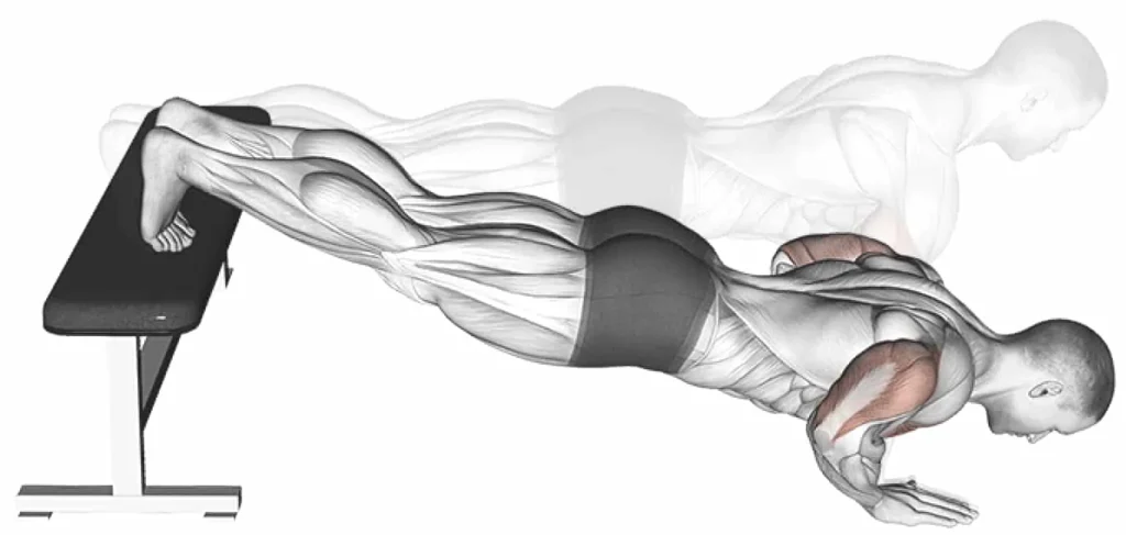 muscles-worked-with-decline-push-ups