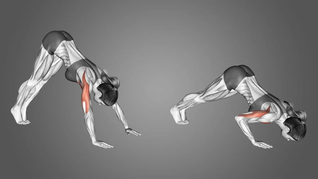 pike-push-up-benefits-1024x576